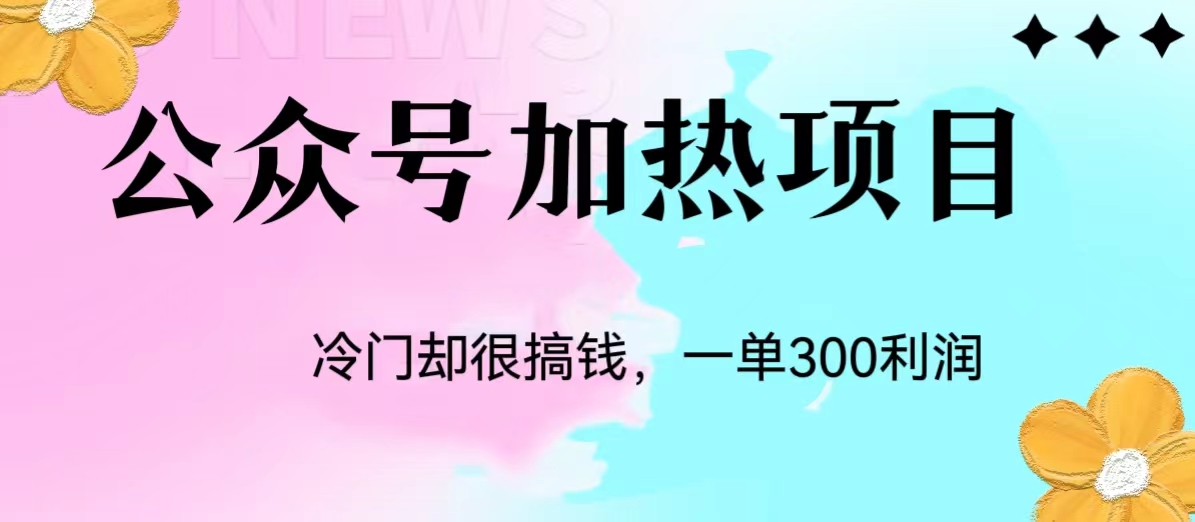 冷门公众号加热项目，每天1-2小时，一单100-300+网赚项目-副业赚钱-互联网创业-资源整合点知成金