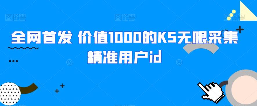 全网首发 价值1000的KS无限采集精准用户id网赚项目-副业赚钱-互联网创业-资源整合点知成金