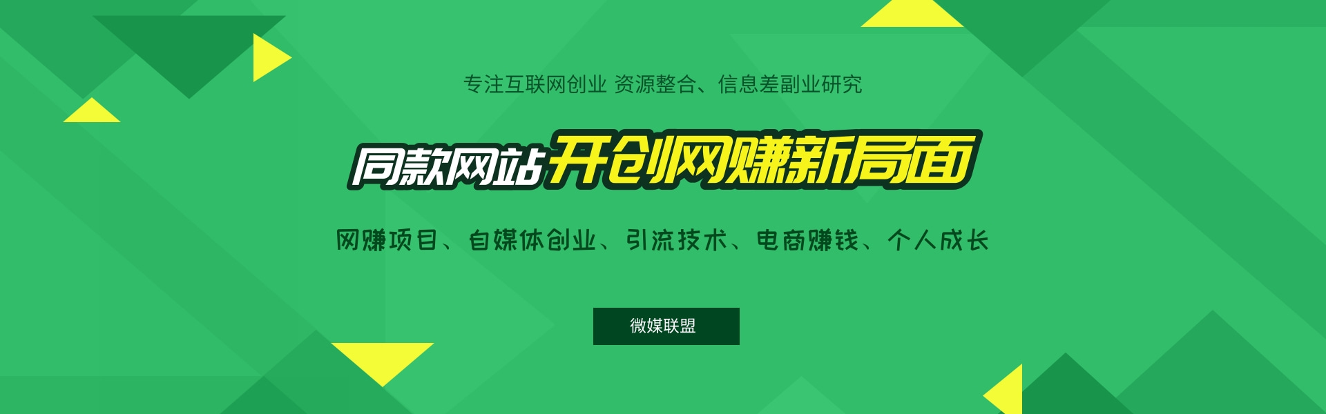 搭建同款资源网站，日入2000+网赚项目-副业赚钱-互联网创业-资源整合点知成金